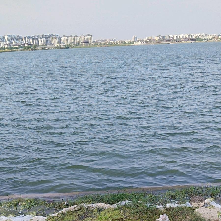 (づ￣3￣)づ╭❤～w(ﾟДﾟ)w