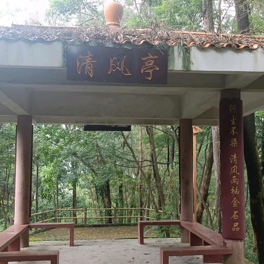 娱乐视频。
