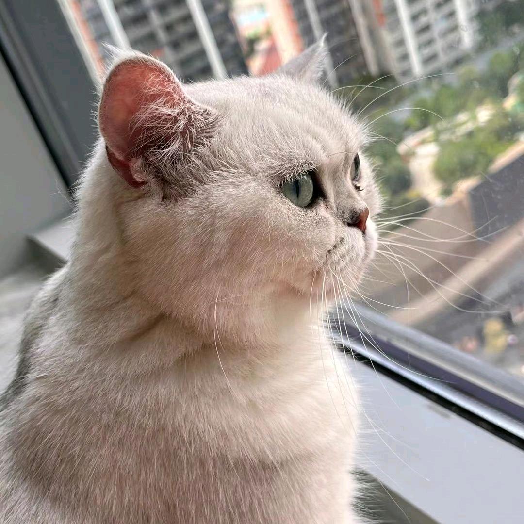 修仙
