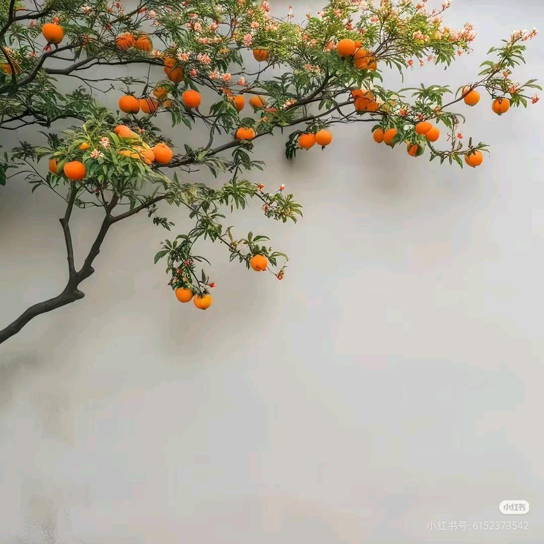 糖果🍬