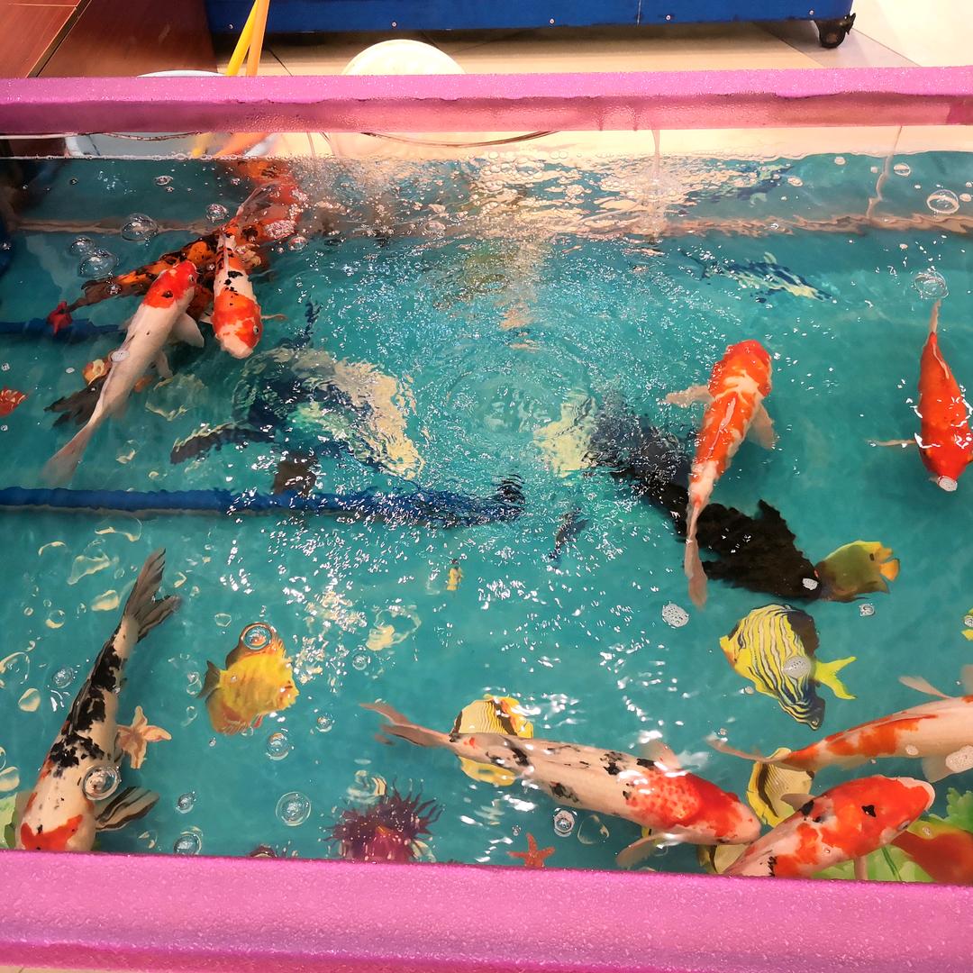 💫诗和远方💫🔥