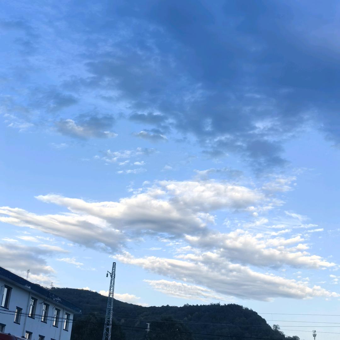 灵沁