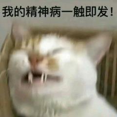 试试就逝世