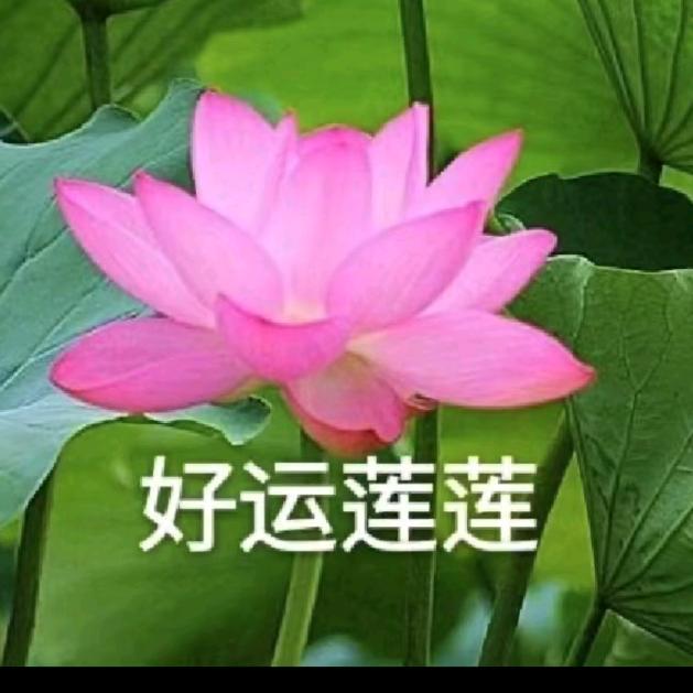 秀林安康