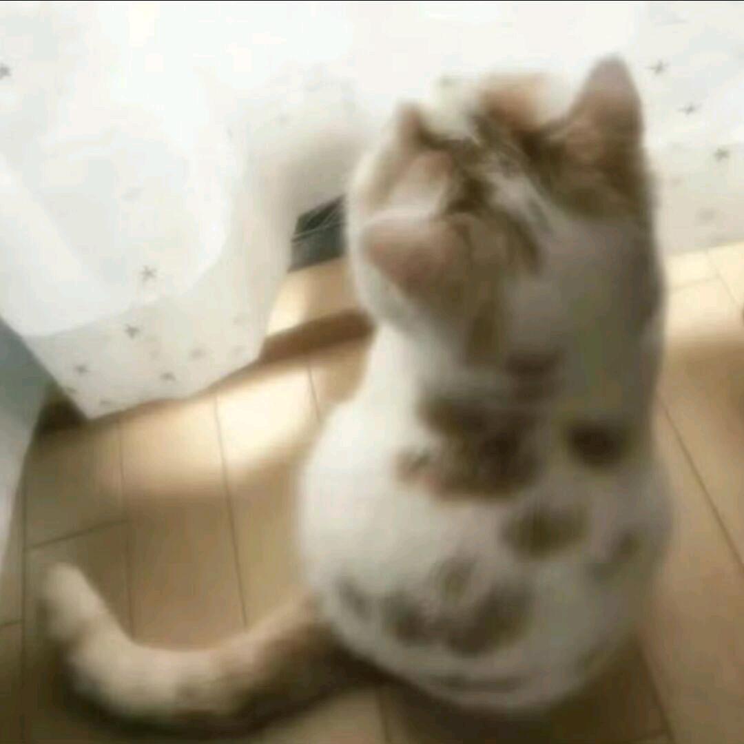 sirius