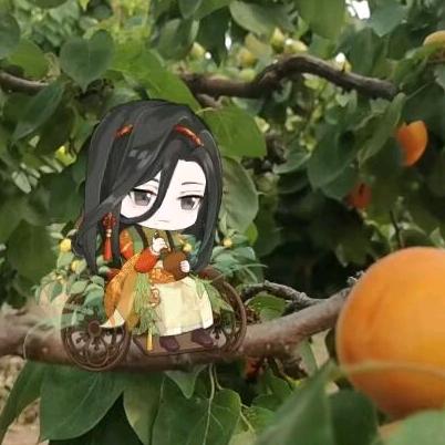 湘崽爱喝屠苏酒