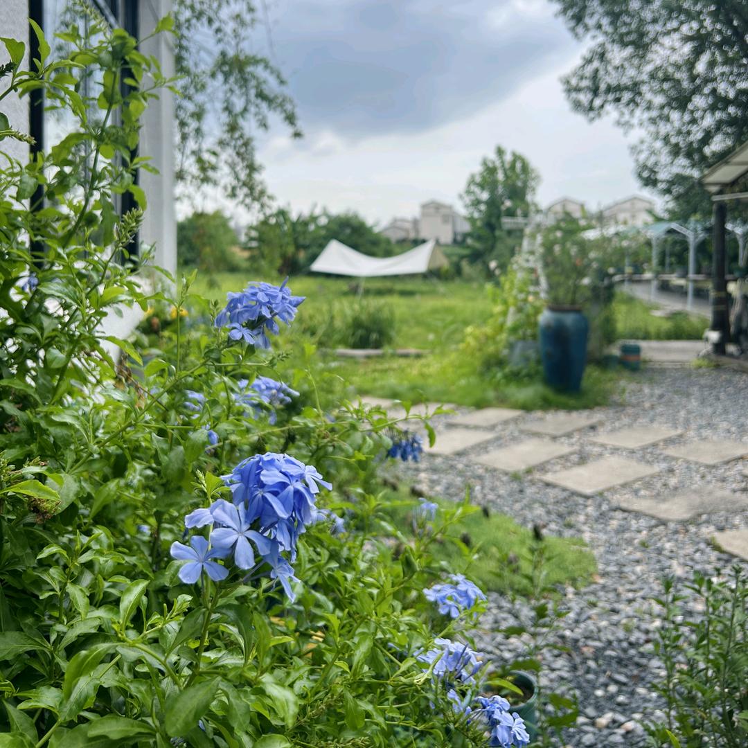 এ᭄余生💞安好ღᩚ᭄💞