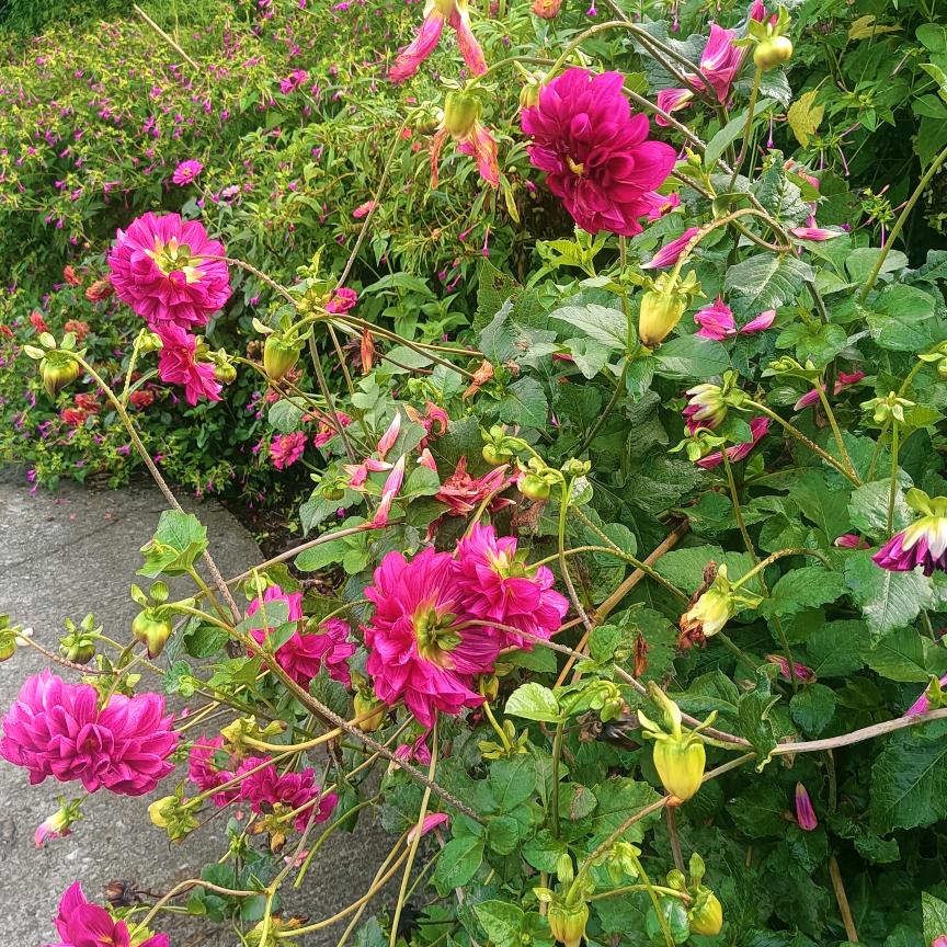 单生一人走天涯