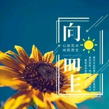 静茹水