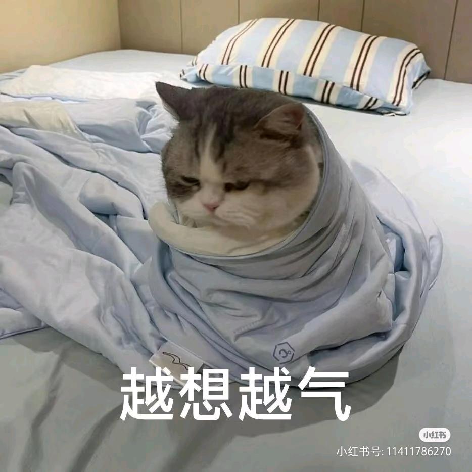 石盐砖家