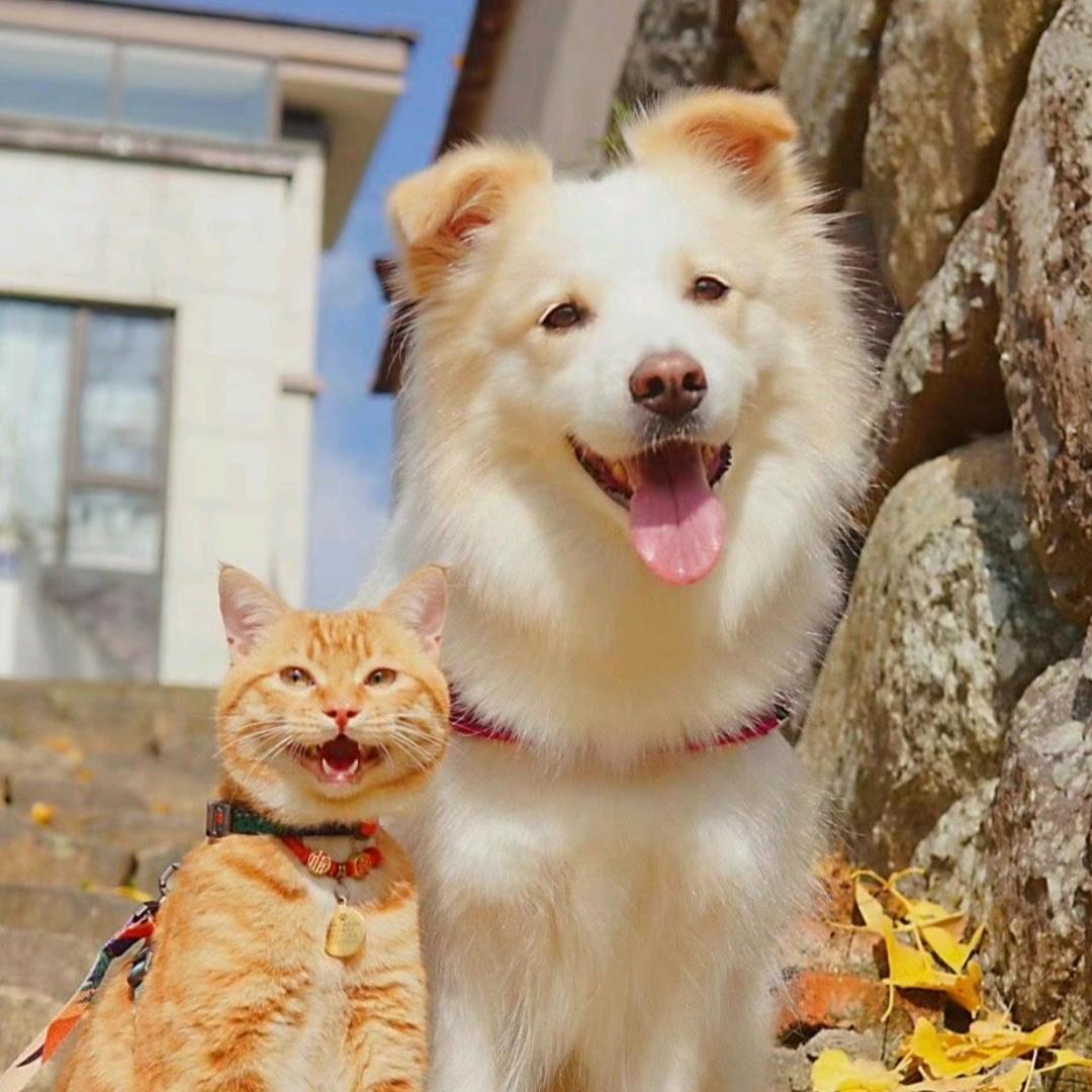 㵘㵘褔泽