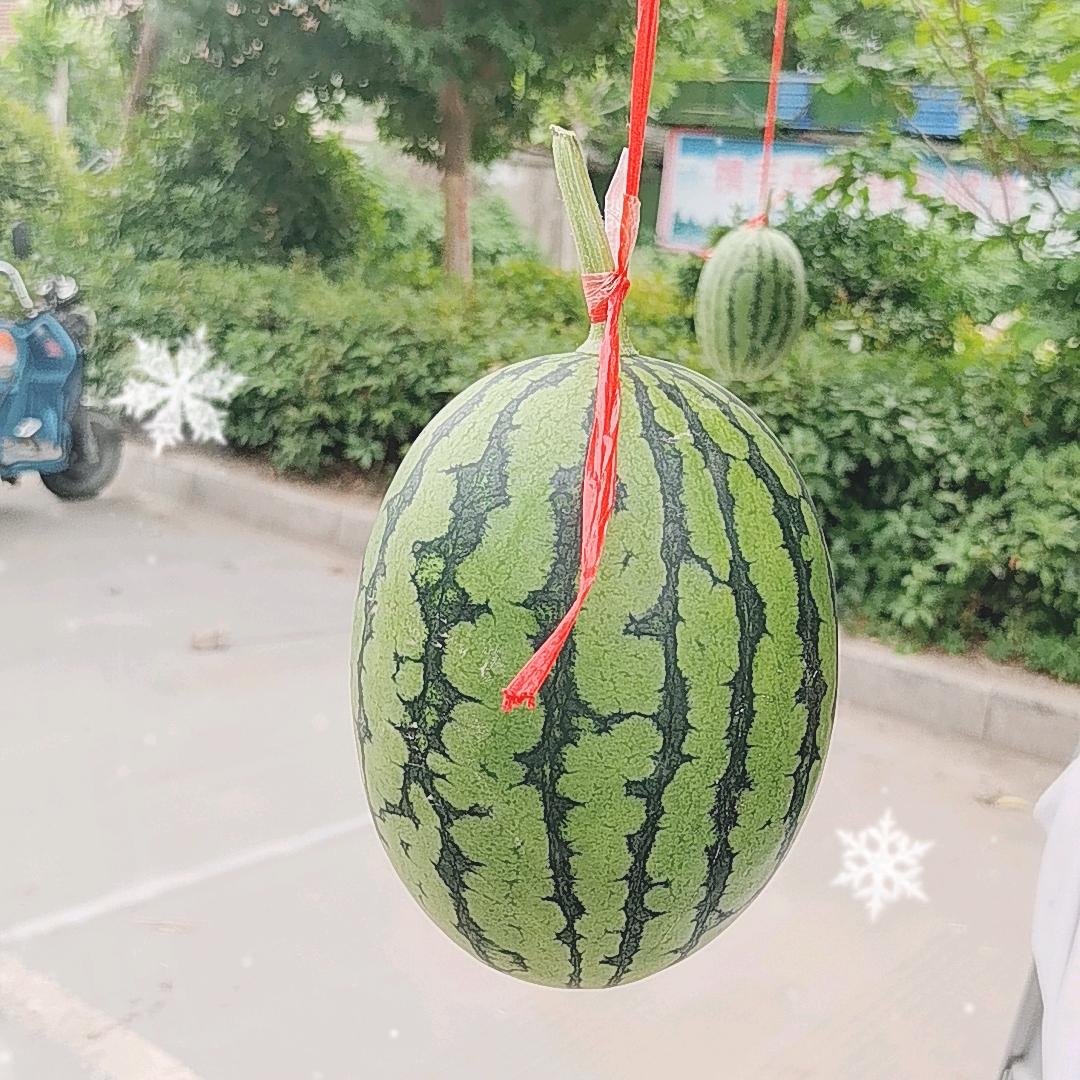 西华小强水果生鲜