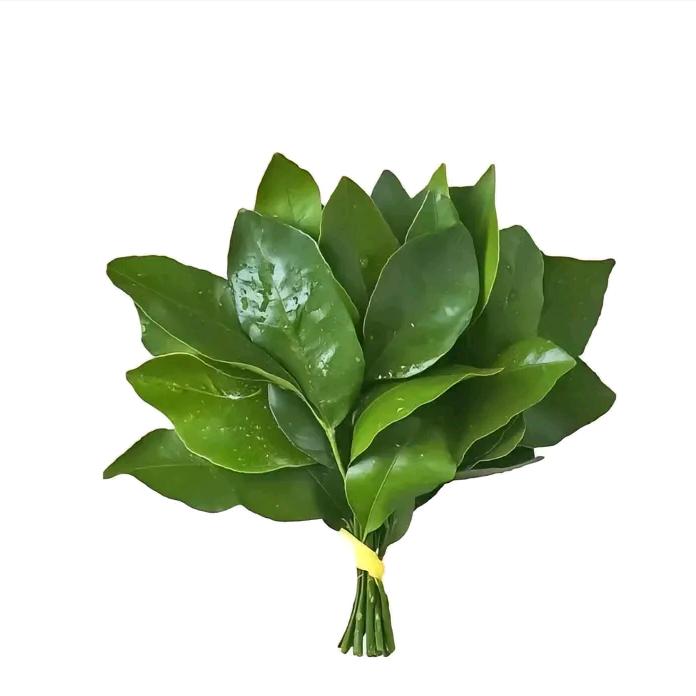 等风来