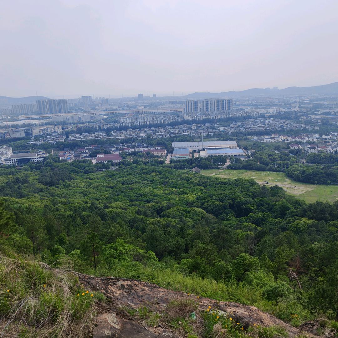 我有个兄弟想来地球了