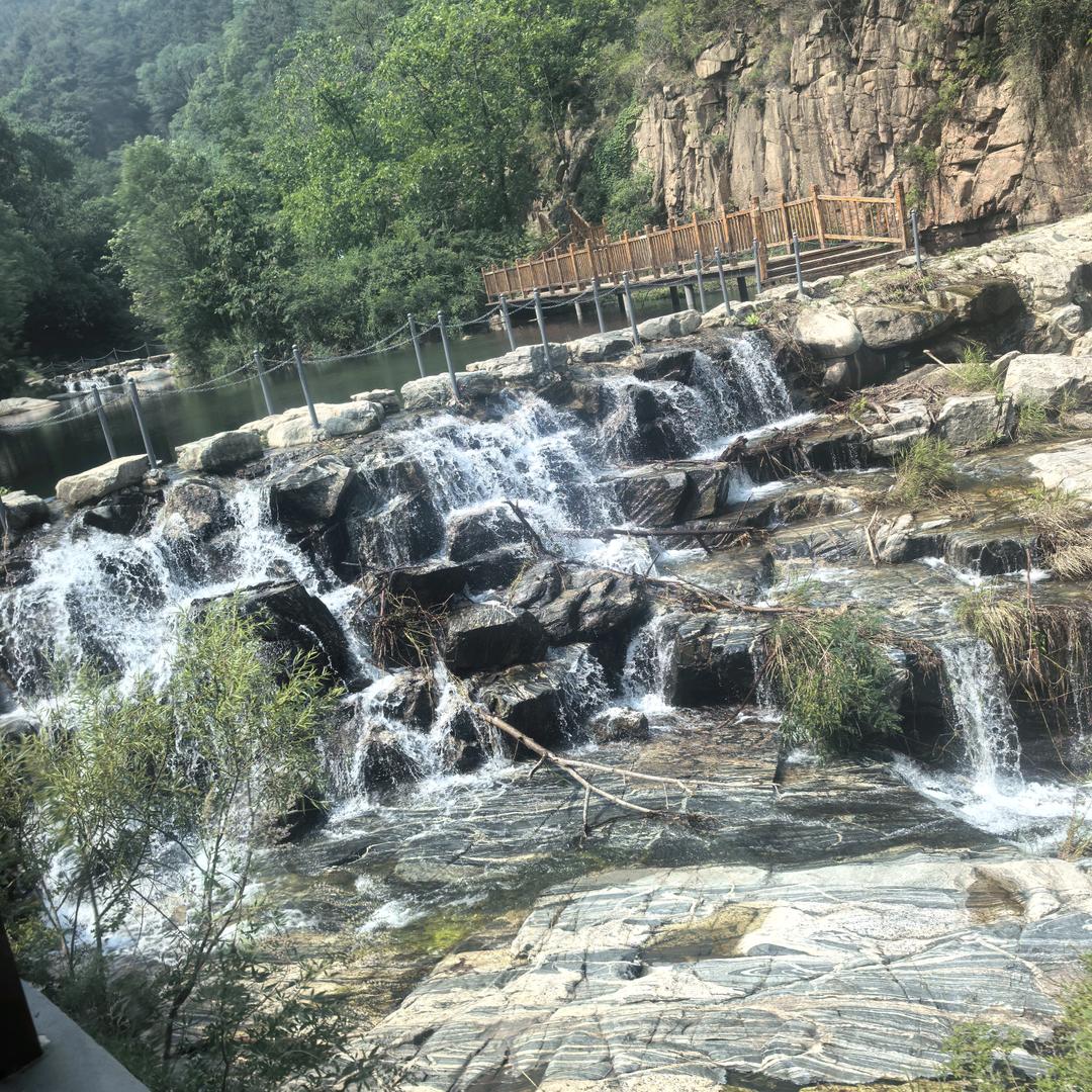 普夏斋卷糕，高爱红