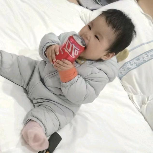 诺宝