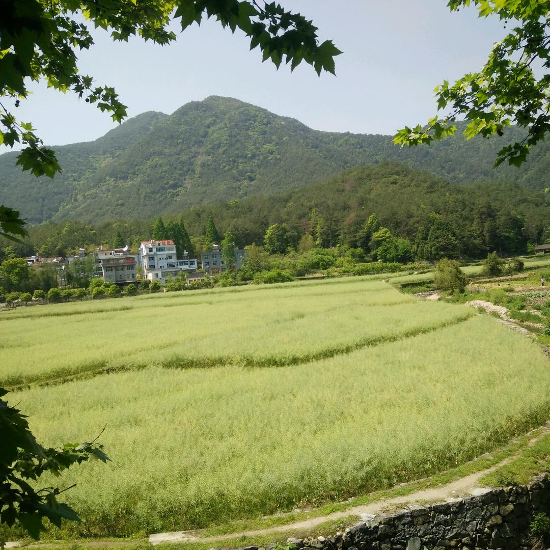 微笑向暖