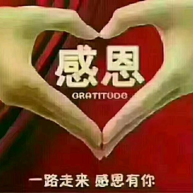 杨哥音乐