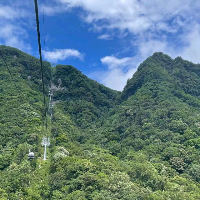 泊伶