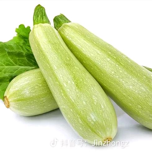 有趣的西葫芦📸