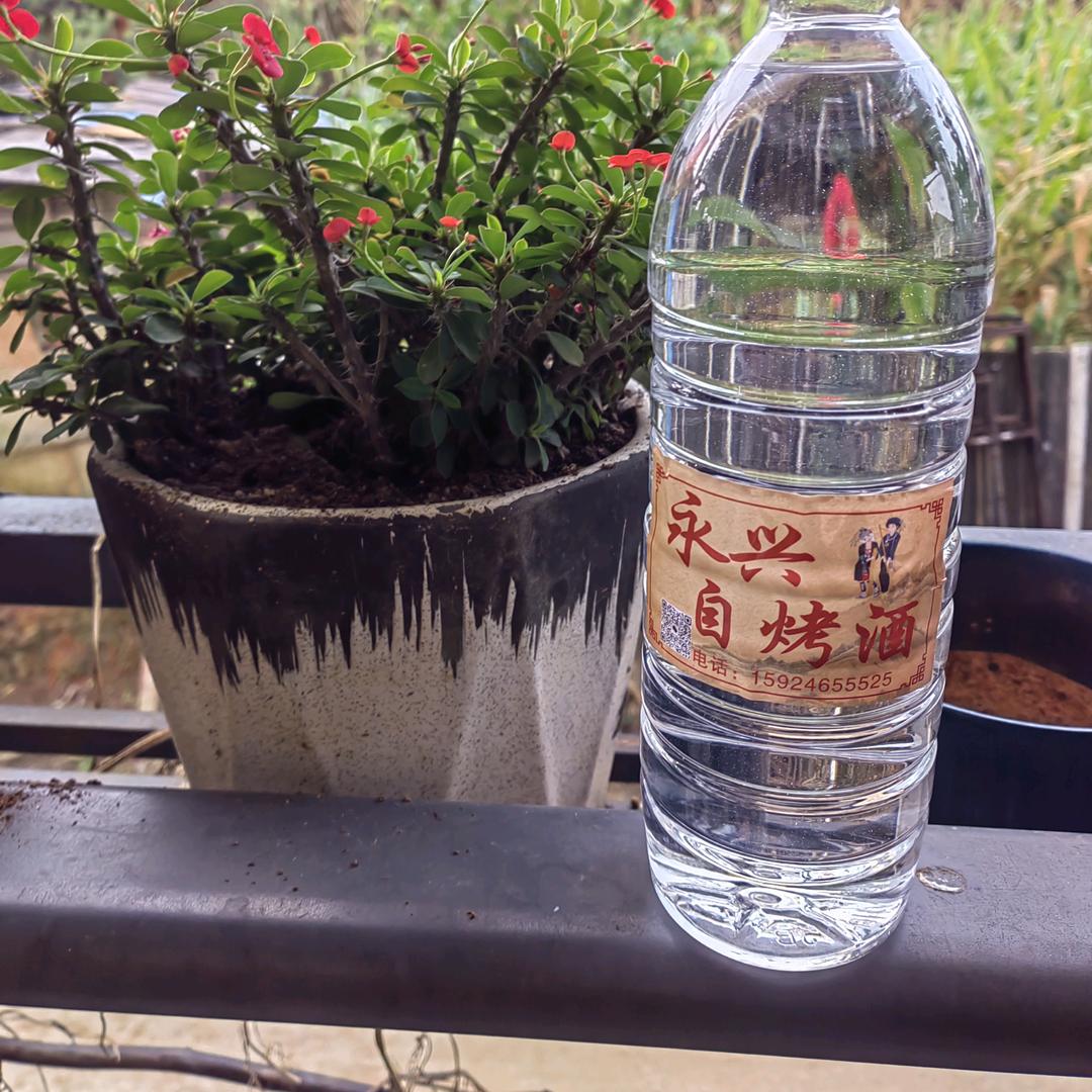 勐海县小熙酒厂🌈永兴自烤酒🔥