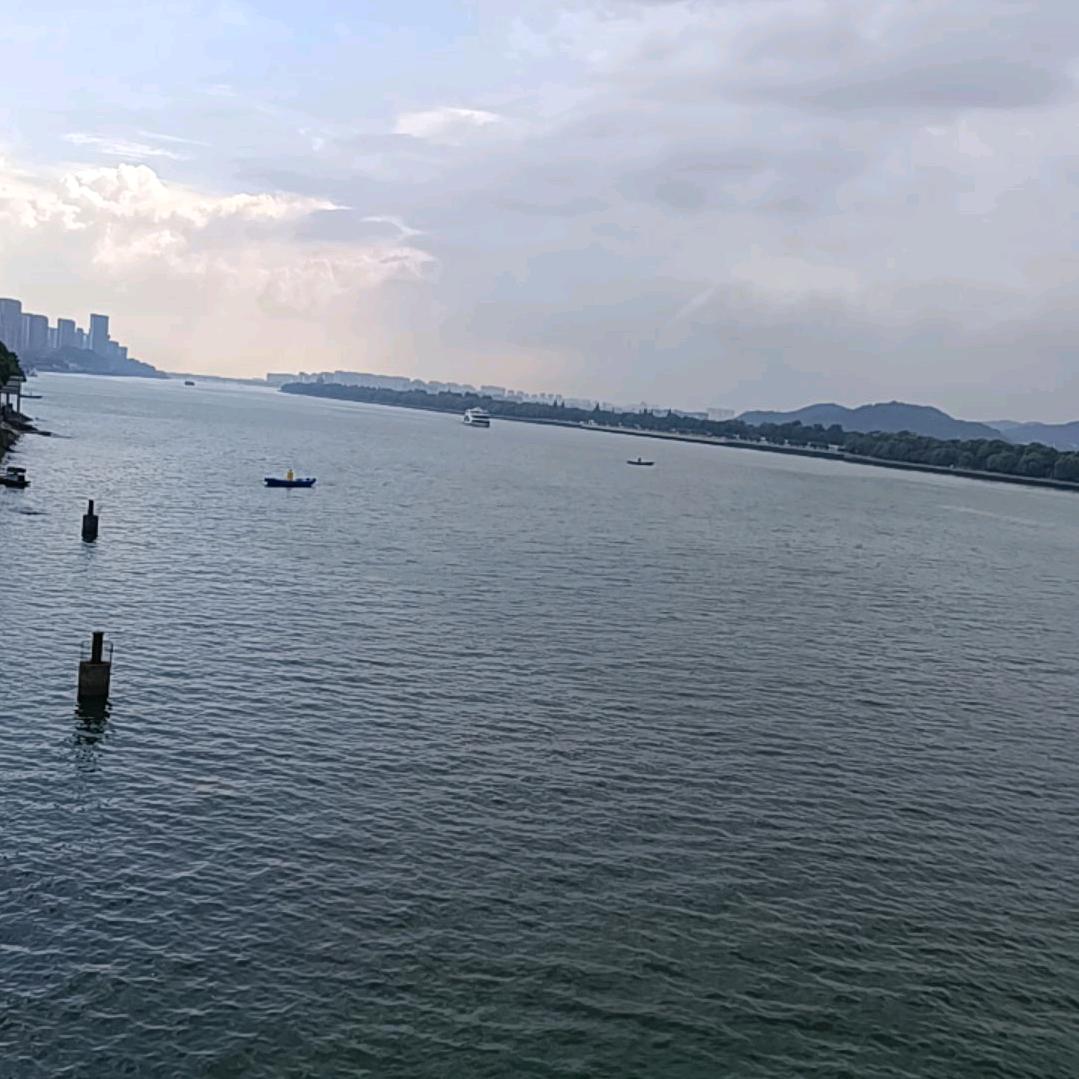 沉默
