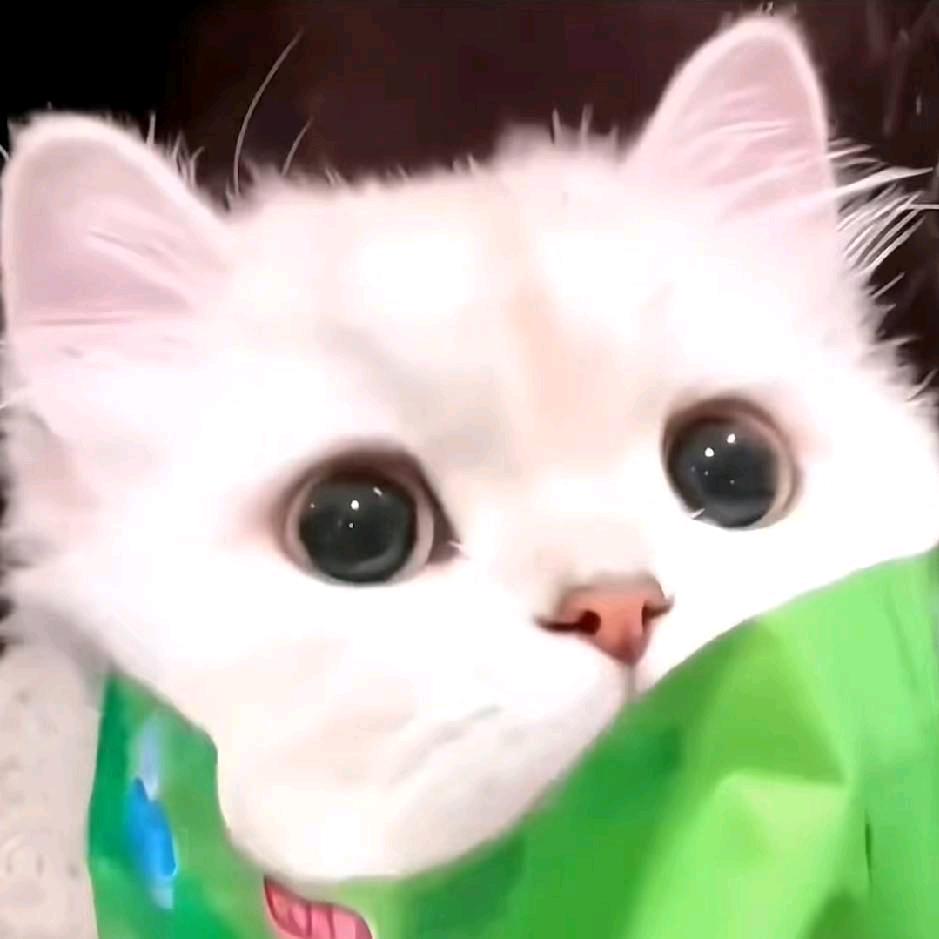 XF.秋月希𝐴𝑢𝑟𝑜𝑟𝑎🅥