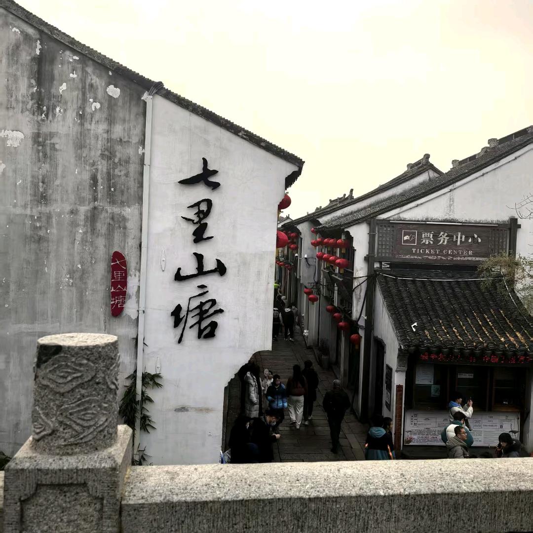 自由的鸟