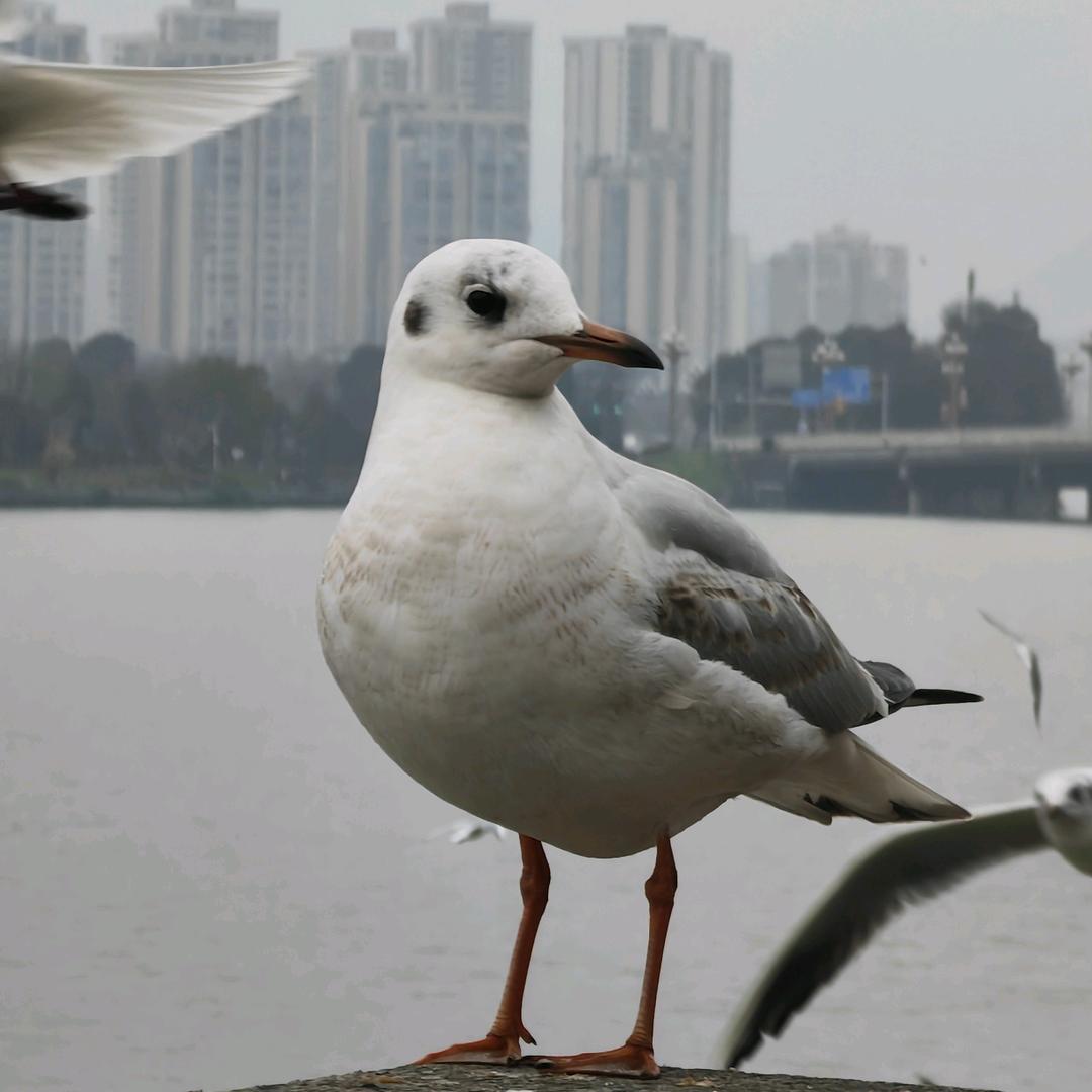 开心一点点
