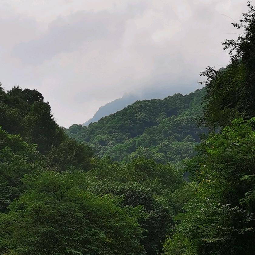 ᭄࿐ᥫᩣ໌心安এº᭄爱财ᰔᩚ悦💞己ᨶ႒