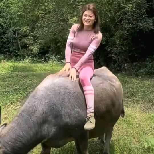 放牛人