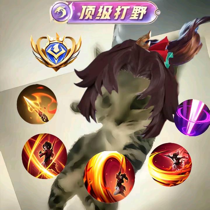 牛牛猪(国服云缨)