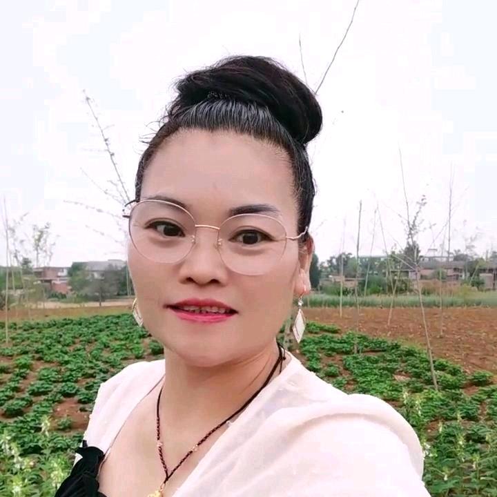 新安小龙女
