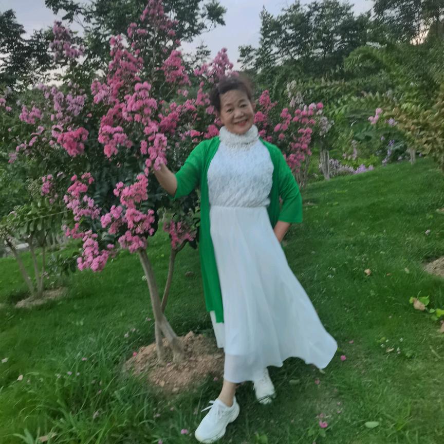 美丽南方