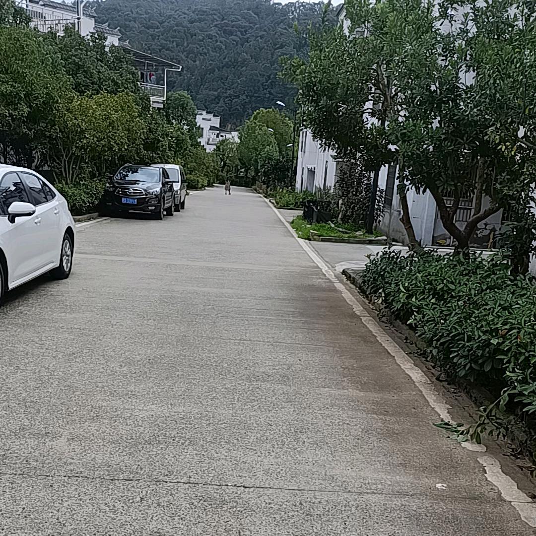 隔壁老王
