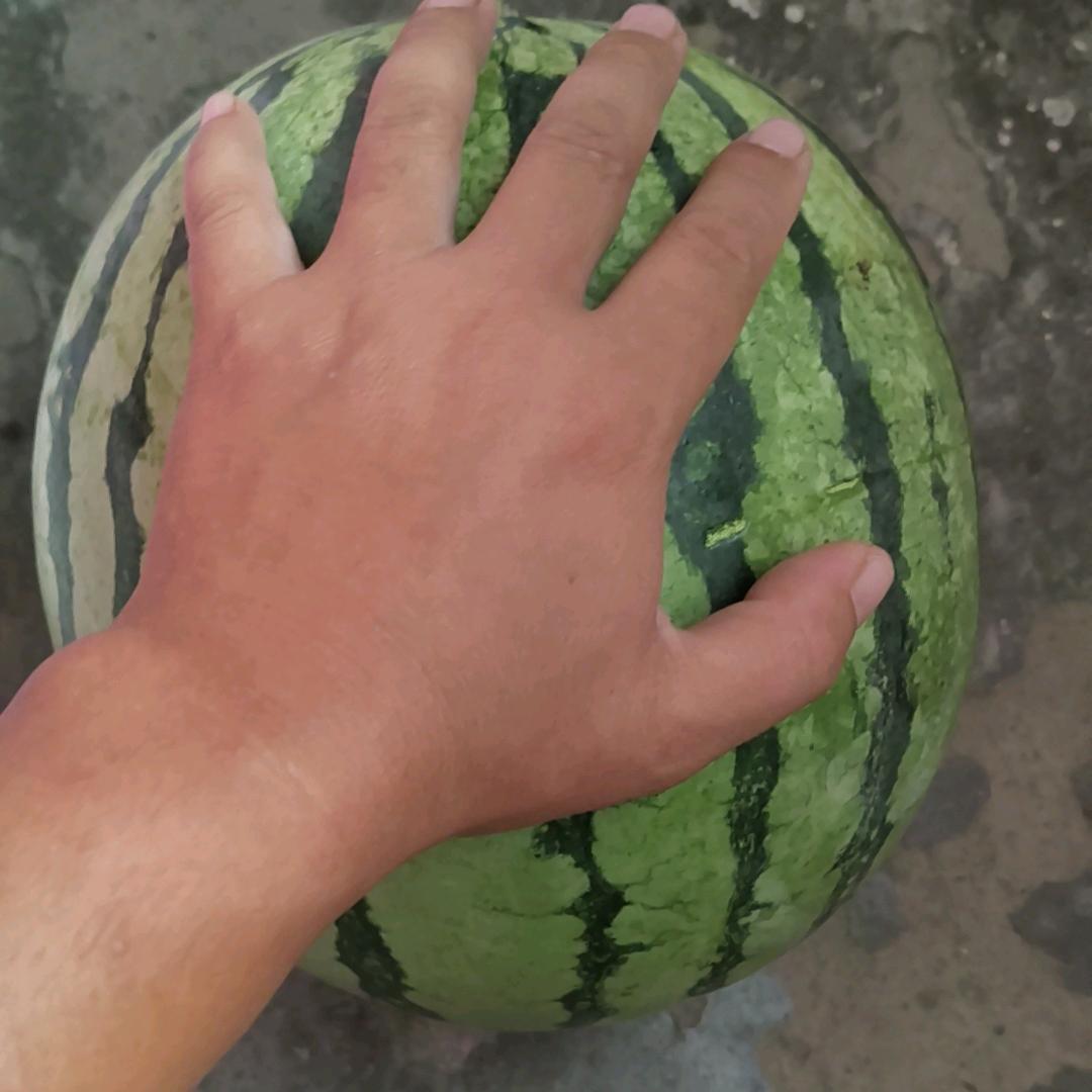 花心