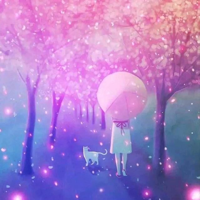 樱花雨落