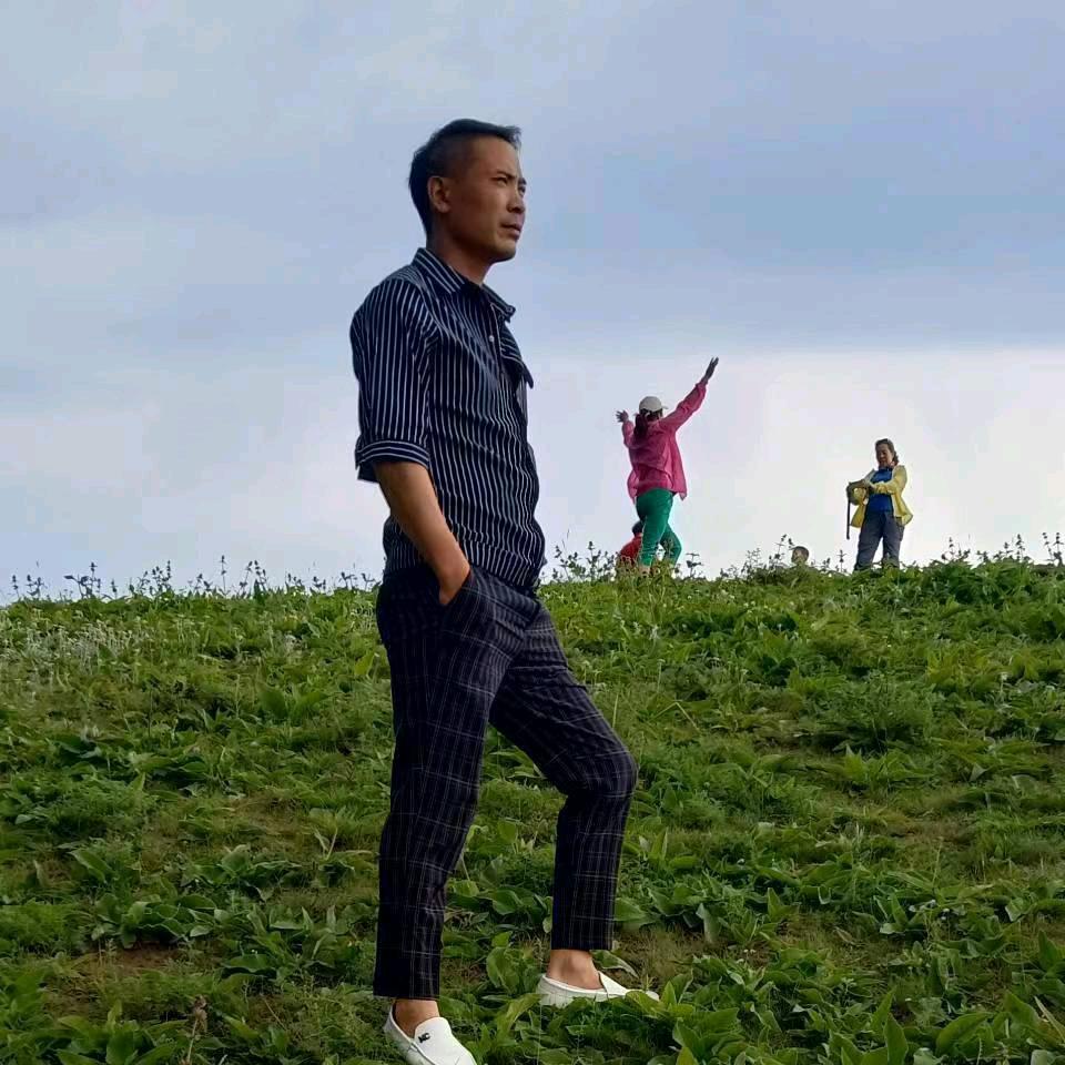 北城夜莺