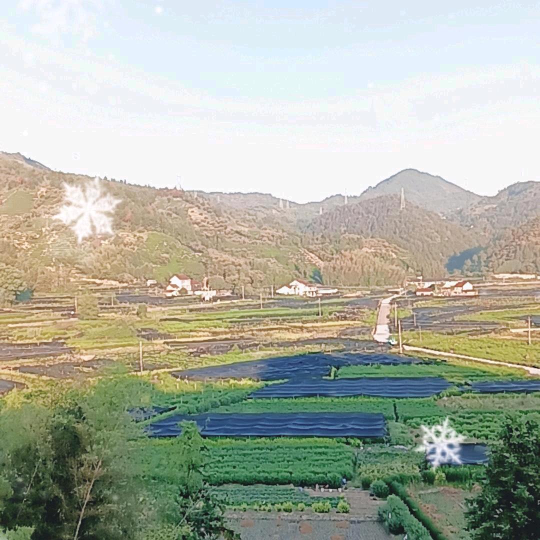 唐僧第二弟子猪八戒