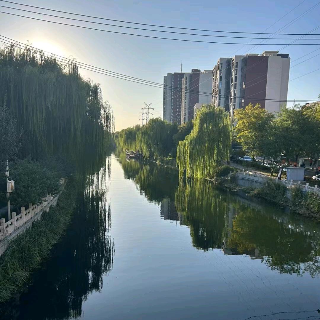 无奈中