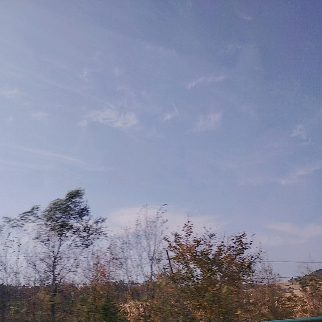 东北 胖丫 的日常生活