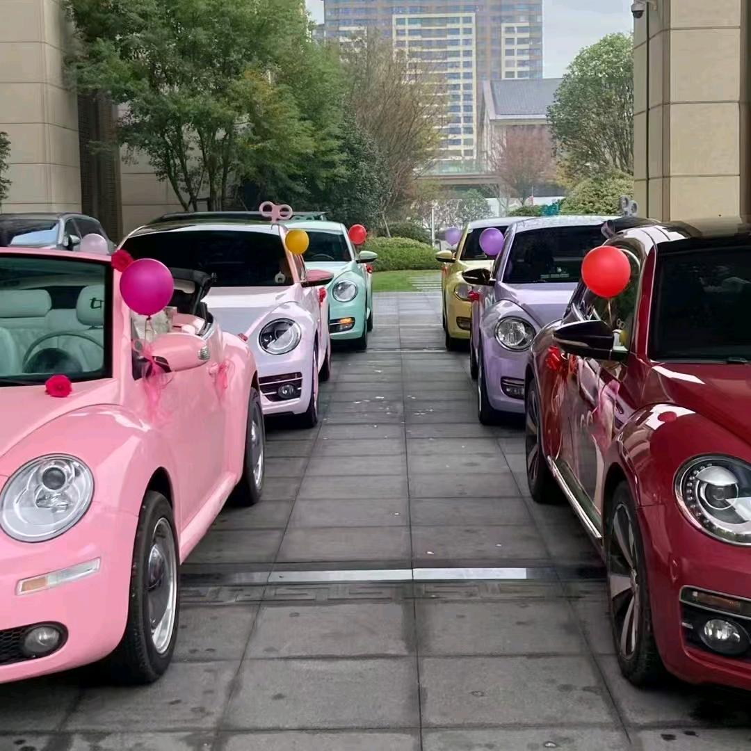 定兴荣耀高端婚车001