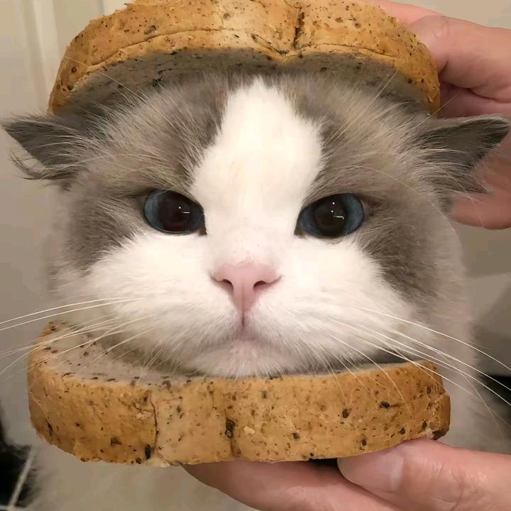 lucky是幸运的意思