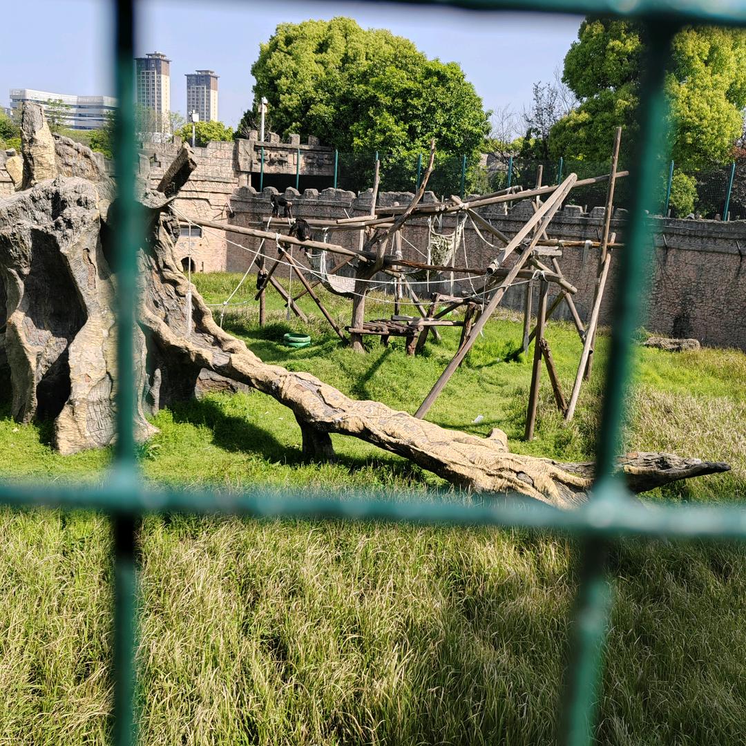 ℳღ简单᭄ꦿ就好დ᭄