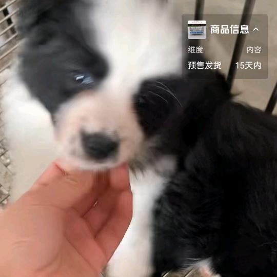 用户8790145738342