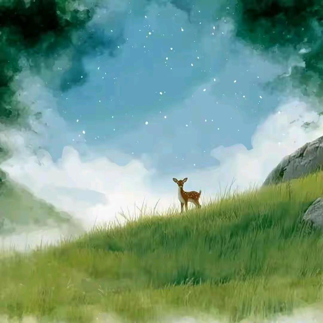 玲然若风🌸🌸