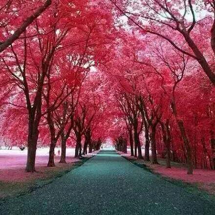 ഒᩚ᭄鸿运ঞৣ当头ೄ࿐