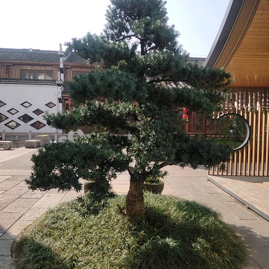 多彩贵州天眼之城