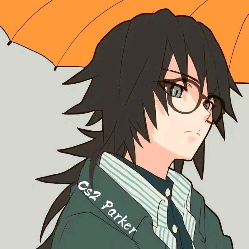 Cs2帕克