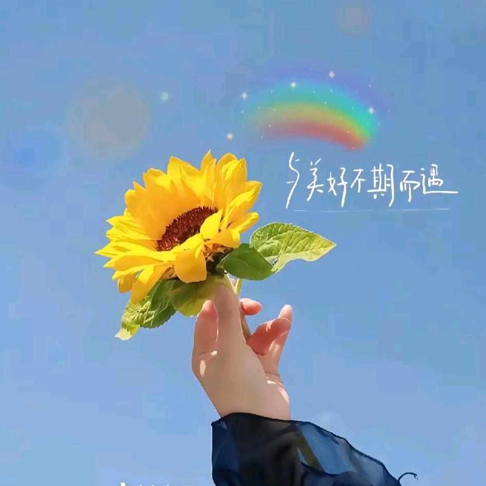 降妞十巴掌